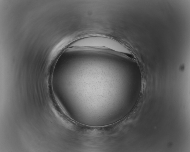 X0000116340197200912221448