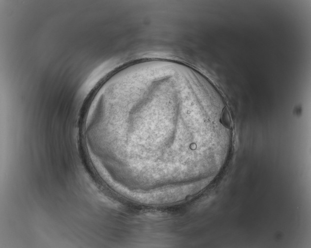 X0000116340199200912221448