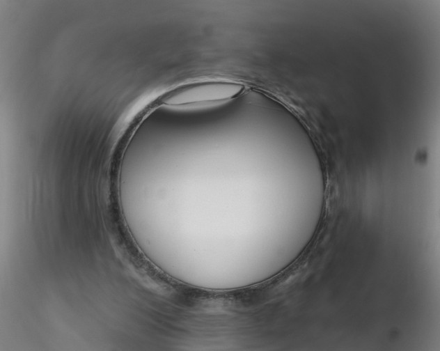 X0000116340200200912221448