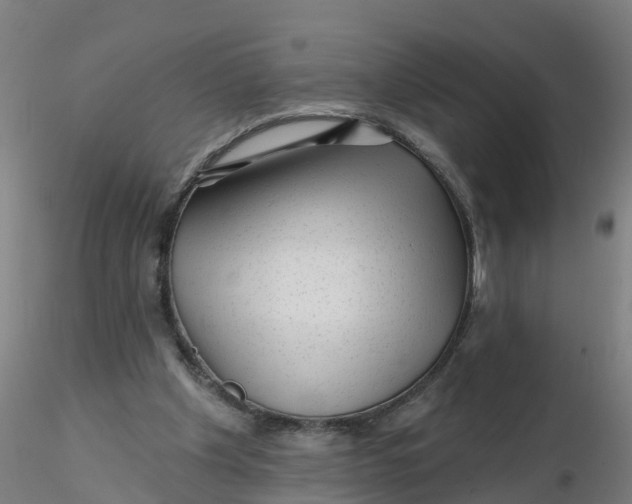 X0000116340201200912221448