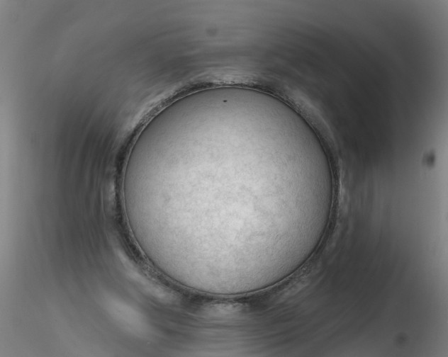 X0000116340202200912221448