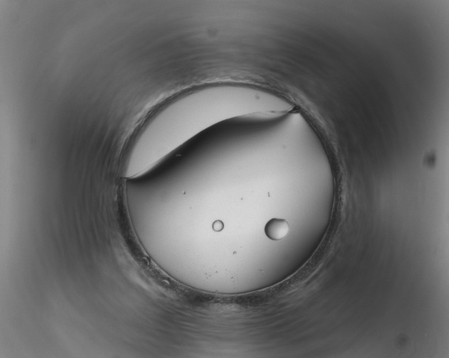 X0000116340203200912221448