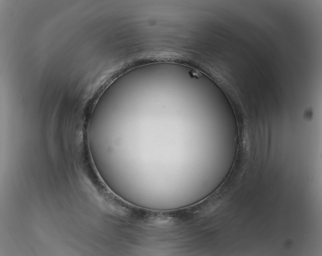 X0000116340206200912221448