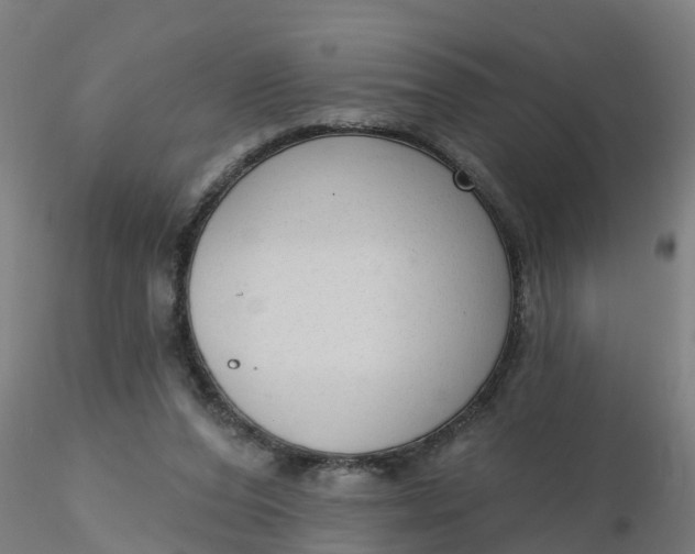 X0000116340208200912221448