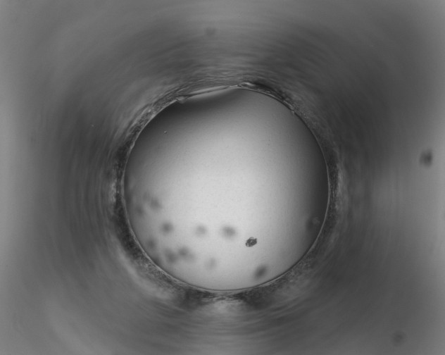 X0000116340210200912221448