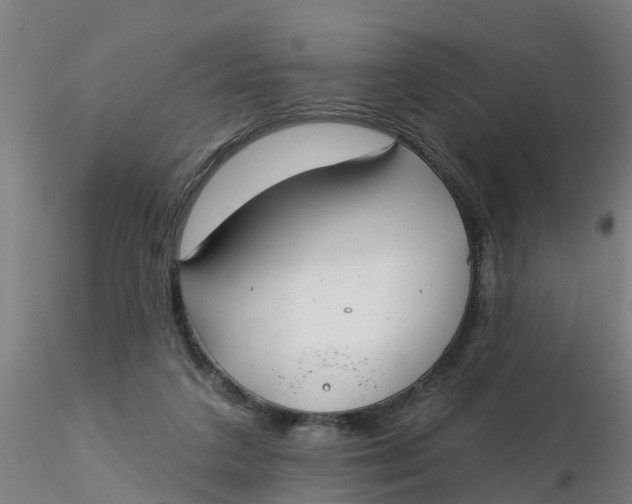 X0000116340211200912221448