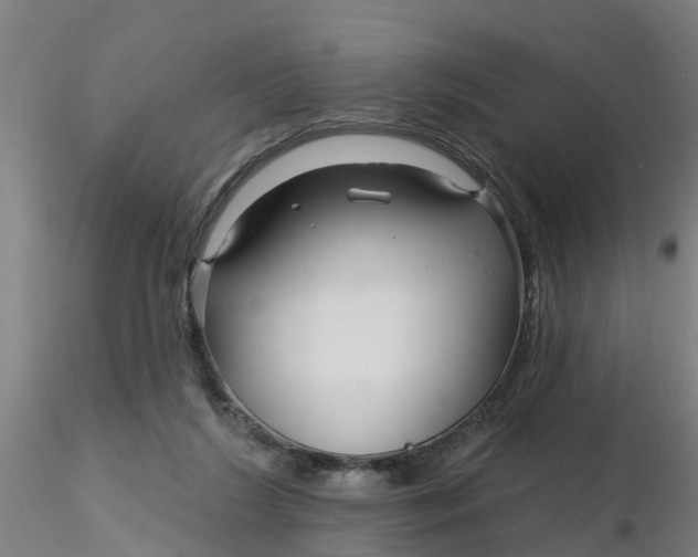 X0000116340212200912221448