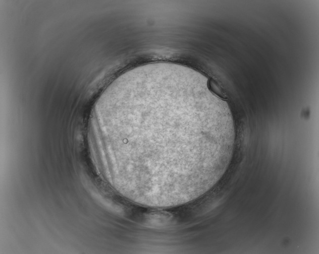 X0000116340215200912221448