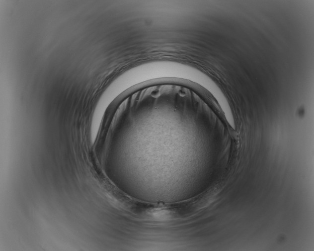 X0000116340219200912221448