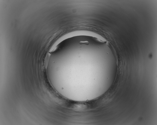 X0000116340220200912221448