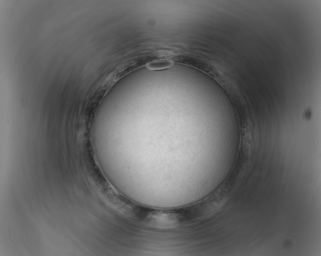 X0000116340221200912221448