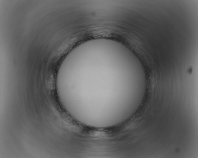 X0000116340224200912221448