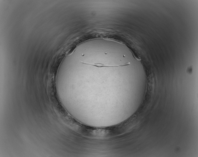 X0000116340225200912221447