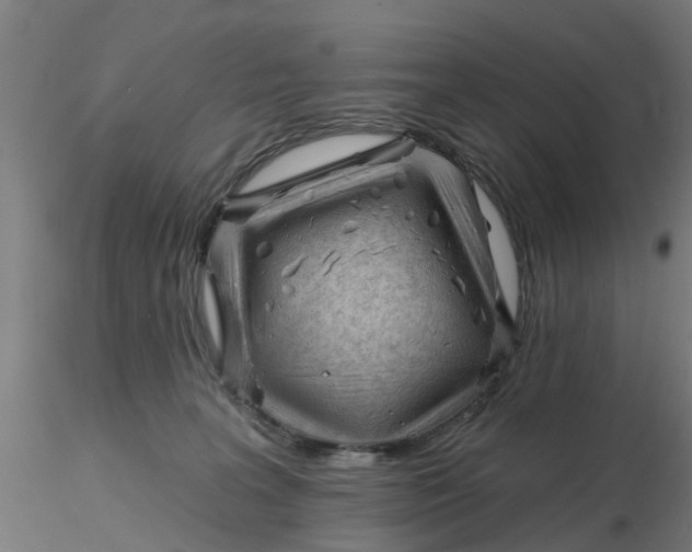 X0000116340227200912221447