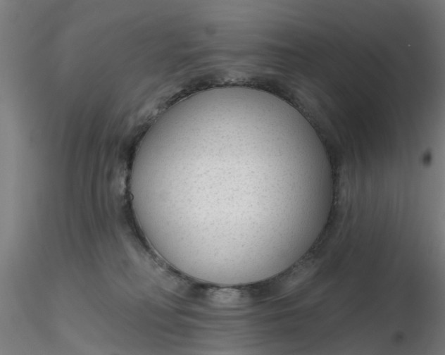 X0000116340230200912221447