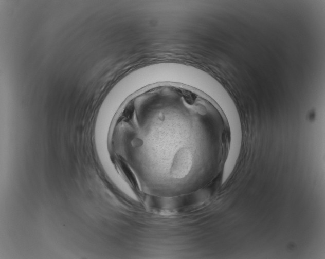 X0000116340231200912221447