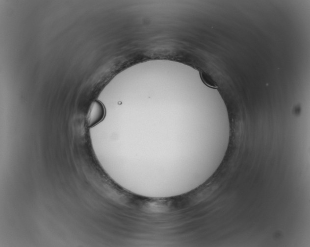 X0000116340232200912221447