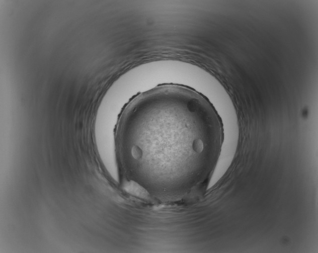 X0000116340235200912221447