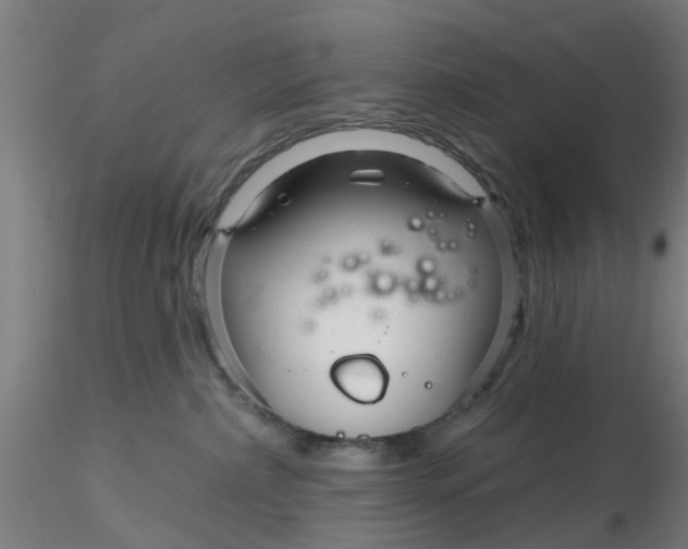 X0000116340236200912221447