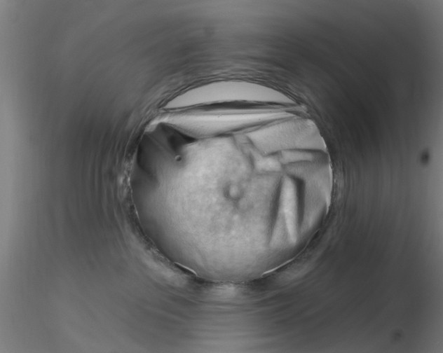 X0000116340237200912221447