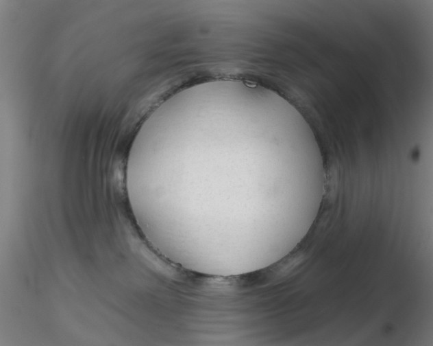 X0000116340238200912221447