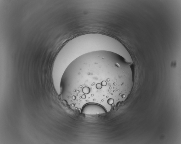 X0000116340240200912221447