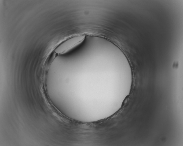 X0000116340241200912221447