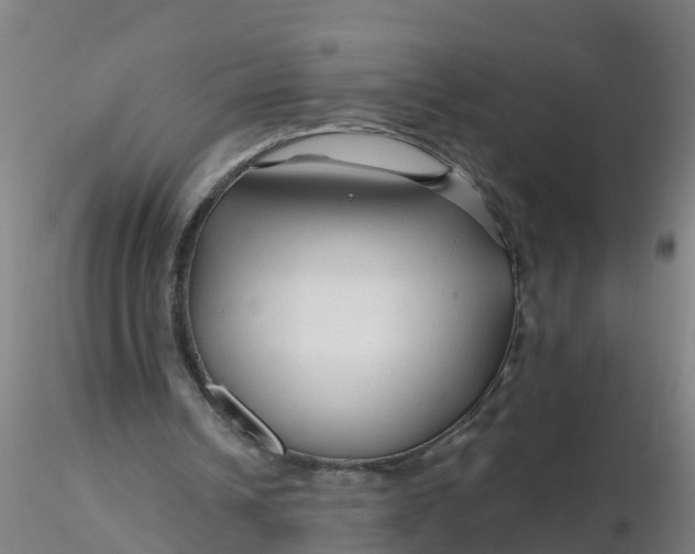 X0000116340242200912221447