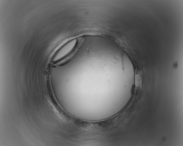 X0000116340243200912221447