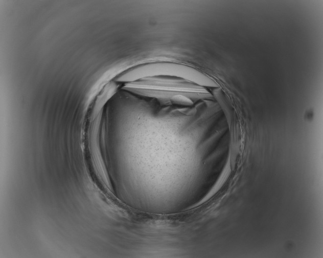 X0000116340244200912221447