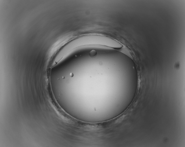 X0000116340245200912221447