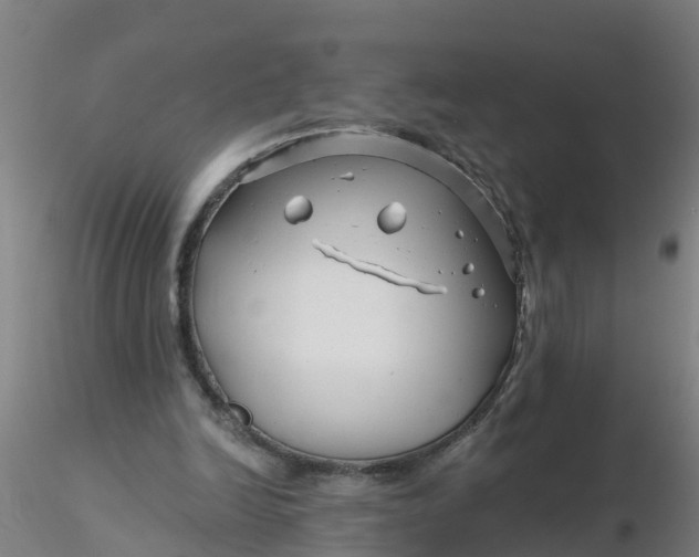 X0000116340246200912221447