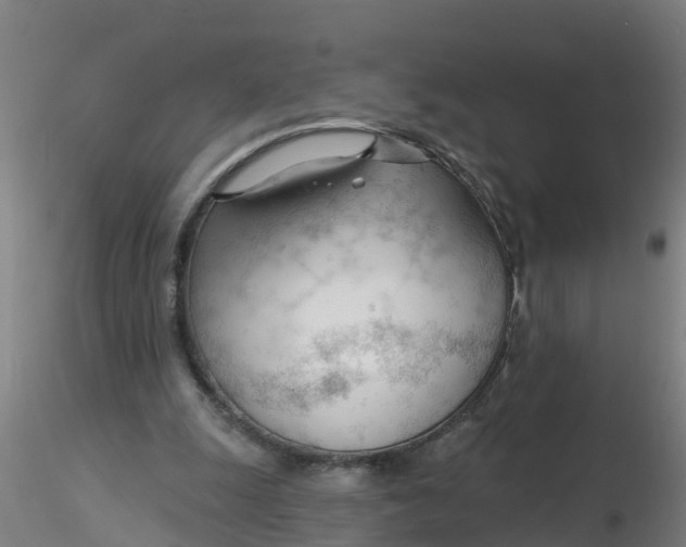 X0000116340247200912221447