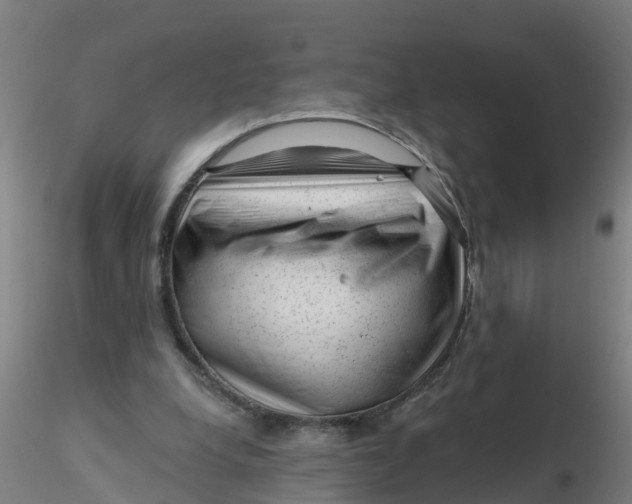 X0000116340248200912221447