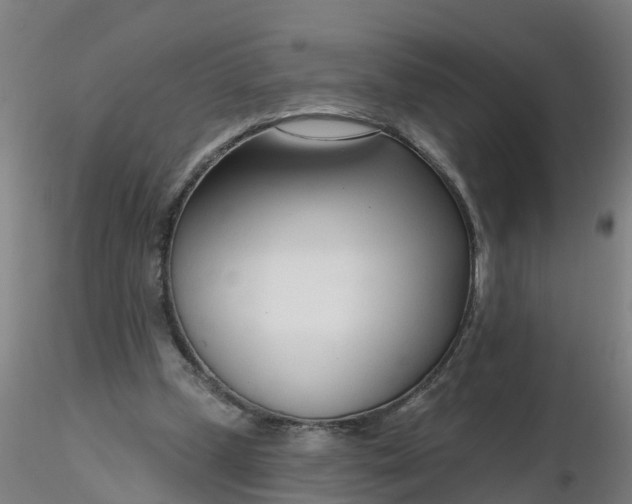 X0000116340249200912221447