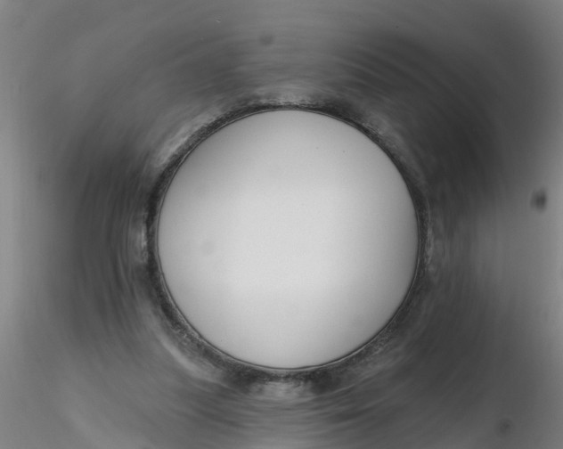 X0000116340251200912221447