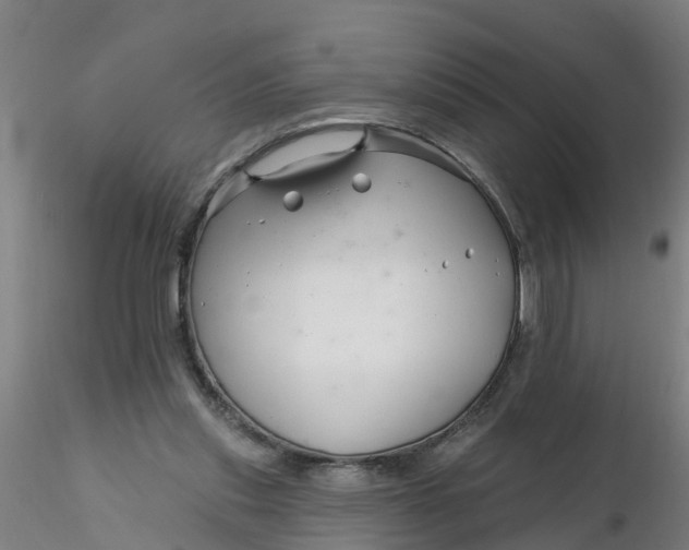 X0000116340253200912221447