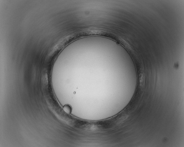 X0000116340254200912221447