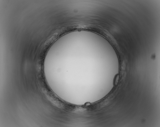 X0000116340257200912221447