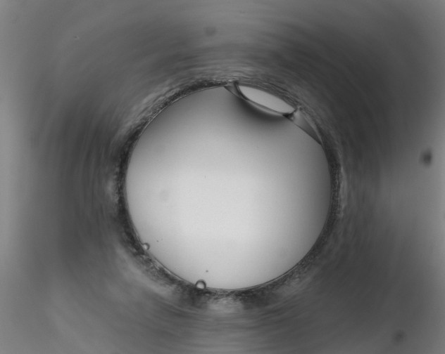 X0000116340258200912221447