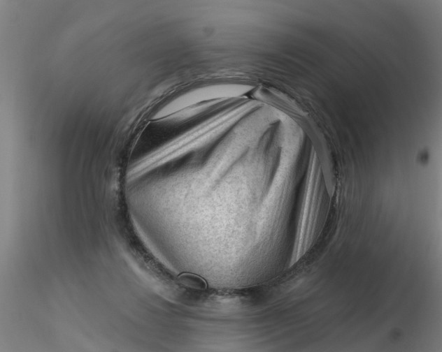 X0000116340260200912221447