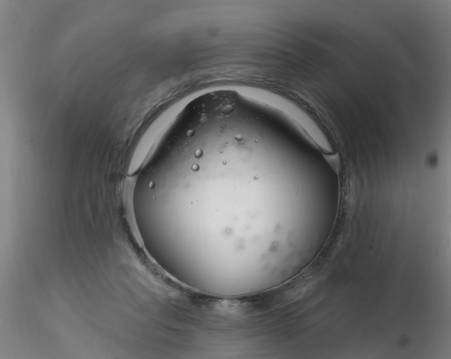 X0000116340261200912221447