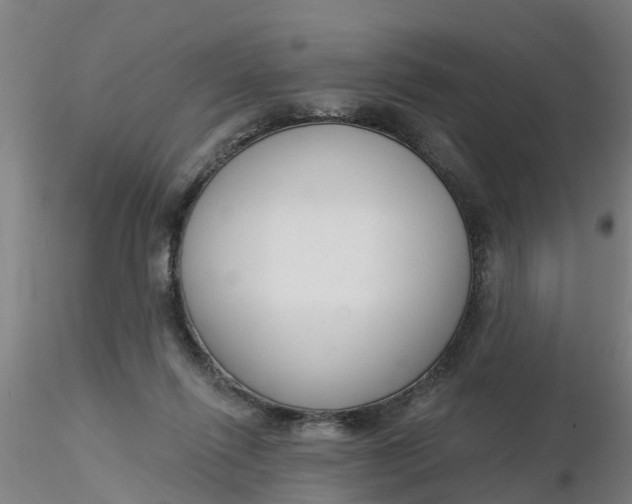 X0000116340262200912221447