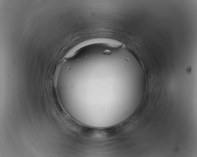 X0000116340263200912221447