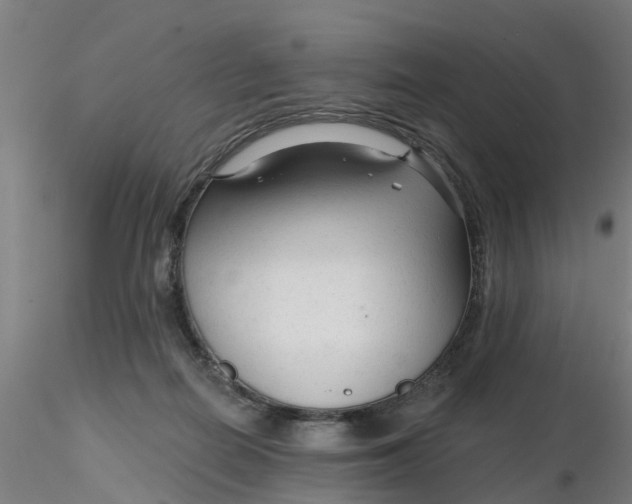 X0000116340266200912221447