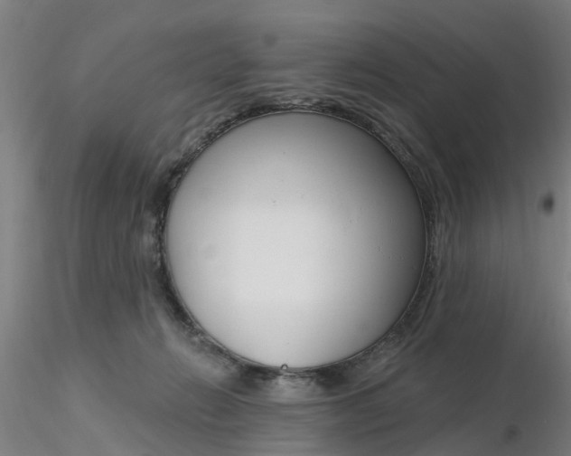 X0000116340270200912221447