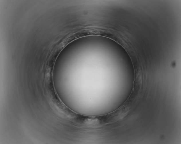 X0000116340271200912221447