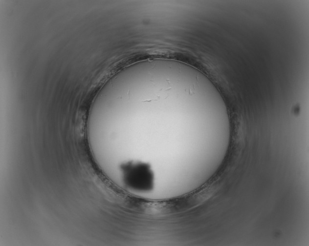 X0000116340273200912221447