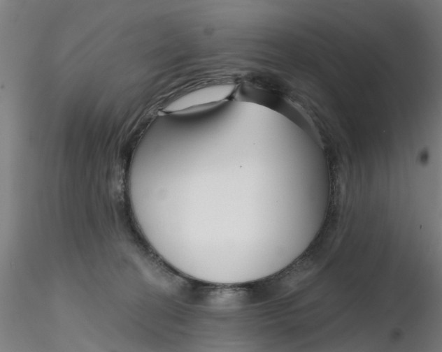 X0000116340274200912221447