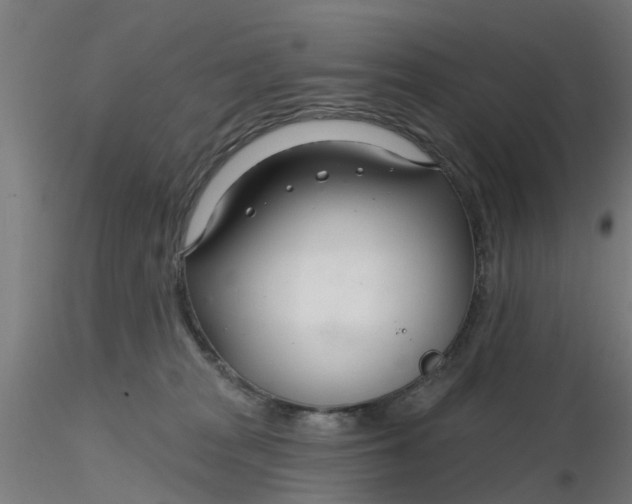 X0000116340277200912221447